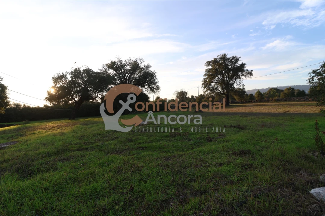 Quinta T1 para Venda em Juncais, Vila Ruiva e Vila Soeiro do Chão Foto 5