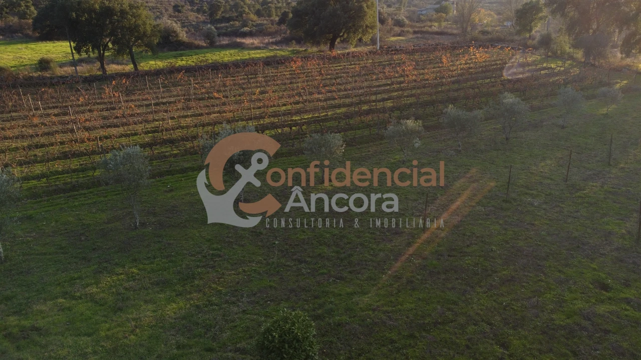 Quinta T1 para Venda em Juncais, Vila Ruiva e Vila Soeiro do Chão Foto 77