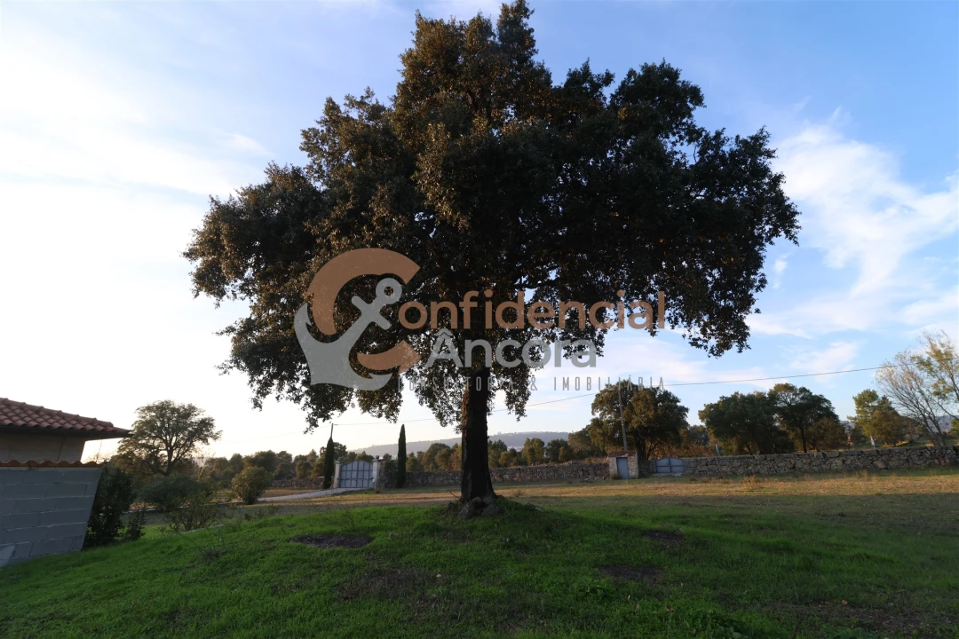 Quinta T1 para Venda em Juncais, Vila Ruiva e Vila Soeiro do Chão Foto 20