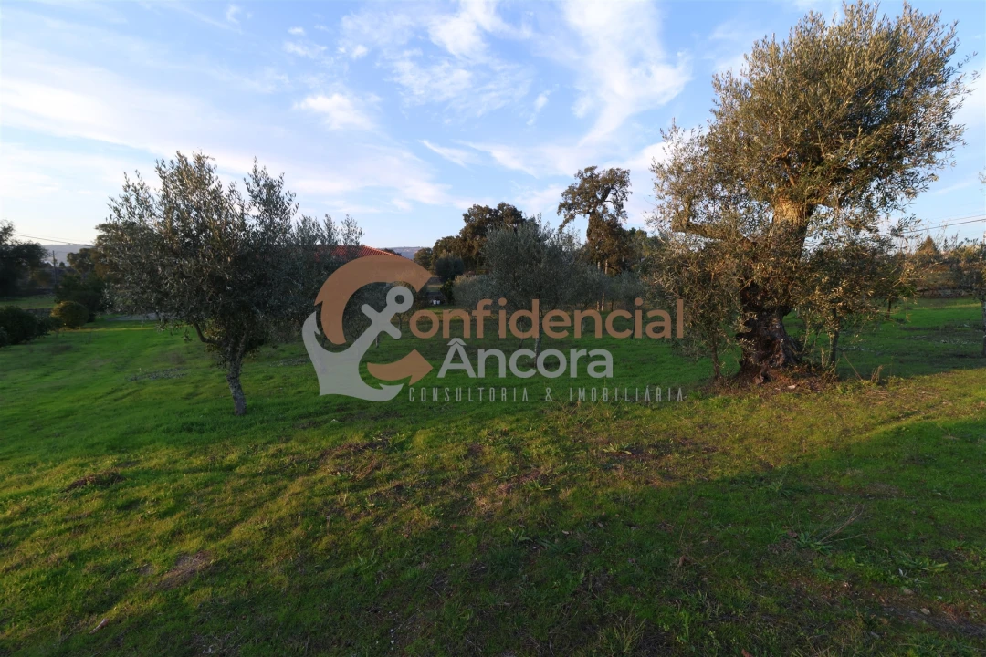 Quinta T1 para Venda em Juncais, Vila Ruiva e Vila Soeiro do Chão Foto 25