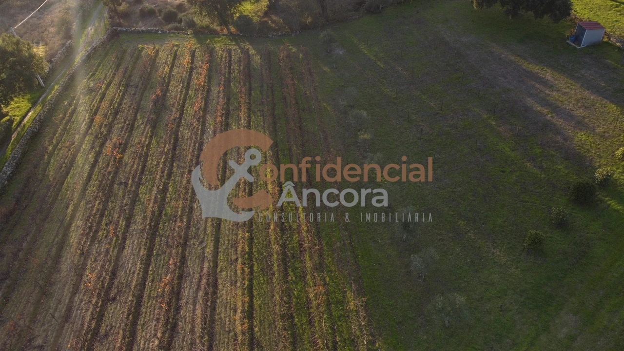 Quinta T1 para Venda em Juncais, Vila Ruiva e Vila Soeiro do Chão Foto 65