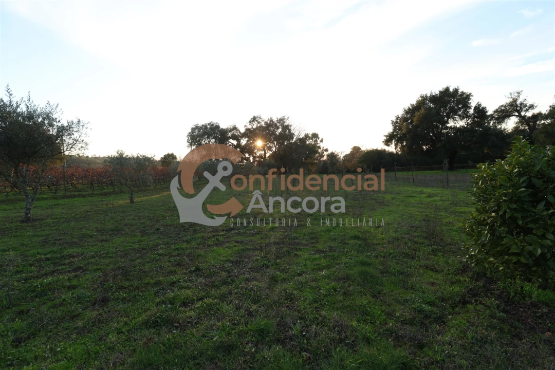 Quinta T1 para Venda em Juncais, Vila Ruiva e Vila Soeiro do Chão Foto 23