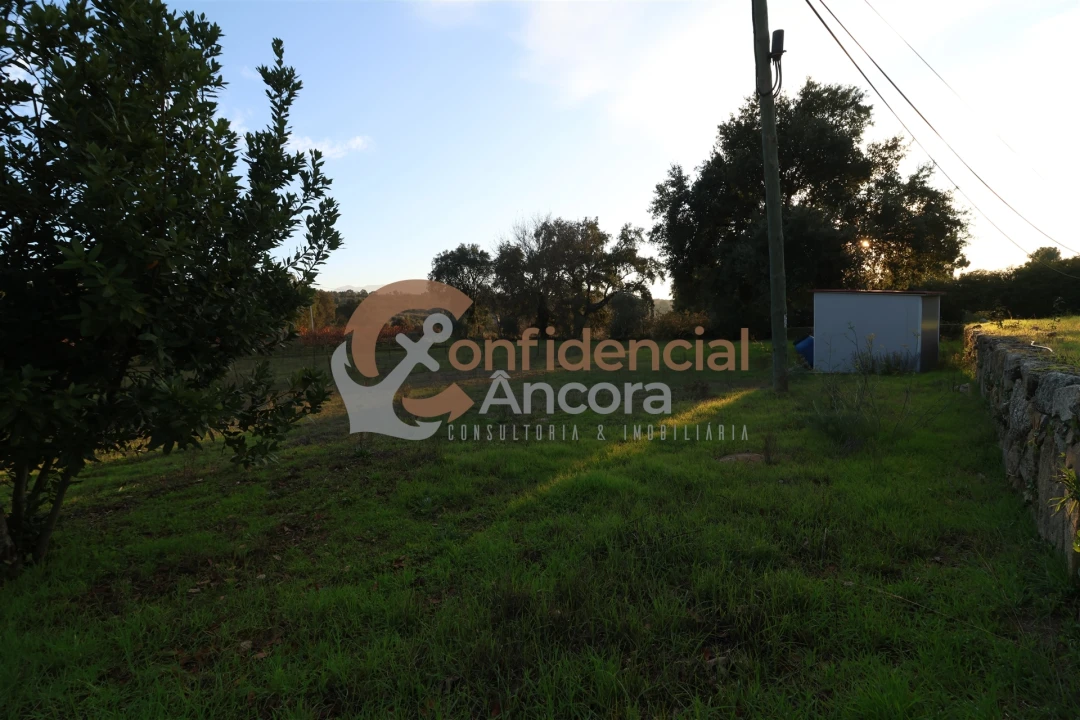 Quinta T1 para Venda em Juncais, Vila Ruiva e Vila Soeiro do Chão Foto 4