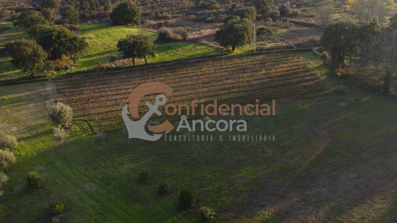 Quinta T1 para Venda em Juncais, Vila Ruiva e Vila Soeiro do Chão Foto 72
