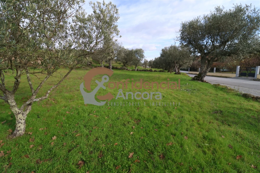Terreno para Venda em Juncais, Vila Ruiva e Vila Soeiro do Chão Foto 17