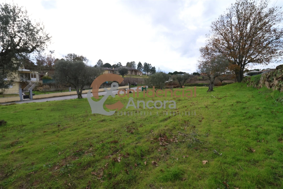 Terreno para Venda em Juncais, Vila Ruiva e Vila Soeiro do Chão Foto 20