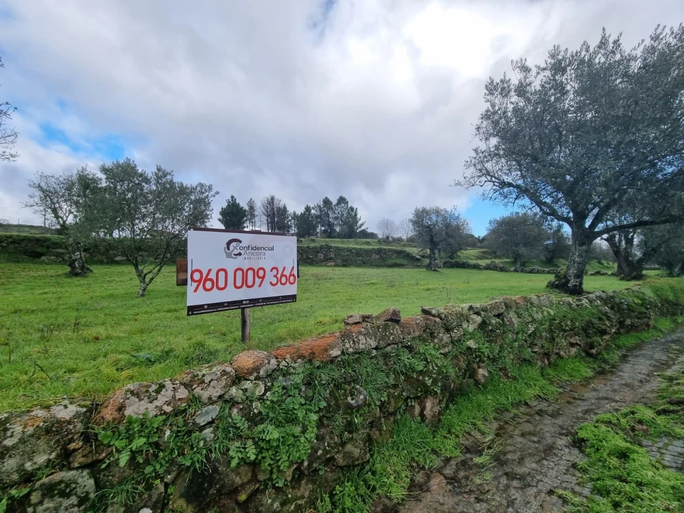 Terreno para Venda em Juncais, Vila Ruiva e Vila Soeiro do Chão Foto 28
