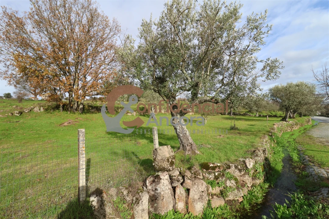 Terreno para Venda em Juncais, Vila Ruiva e Vila Soeiro do Chão Foto 23