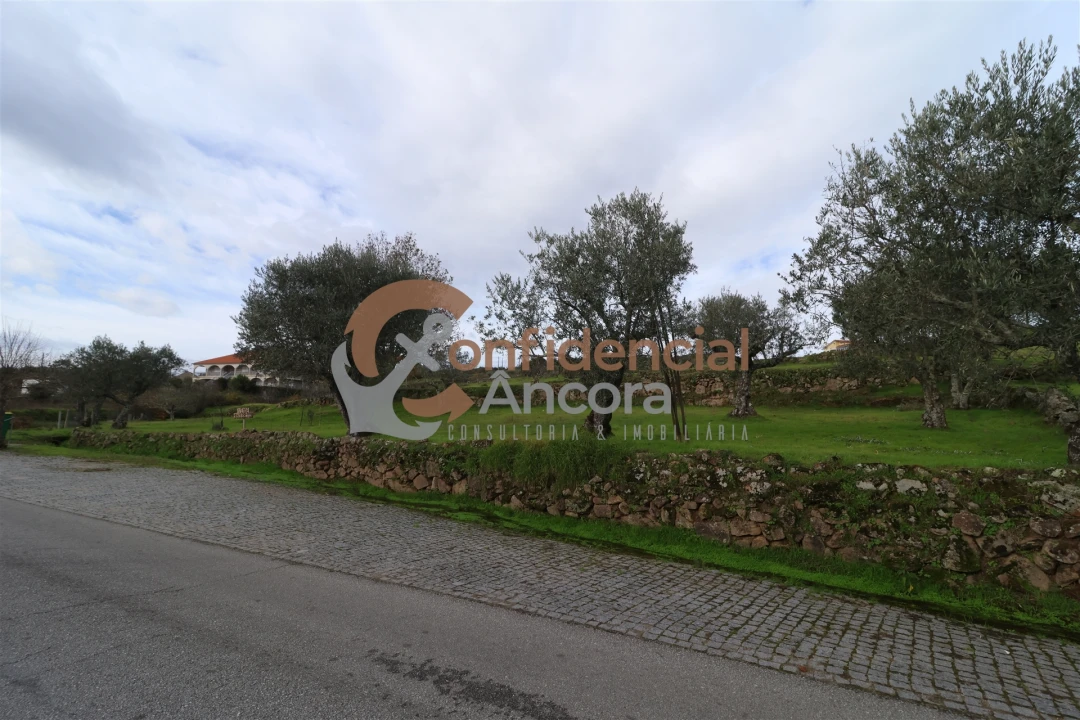 Terreno para Venda em Juncais, Vila Ruiva e Vila Soeiro do Chão Foto 25