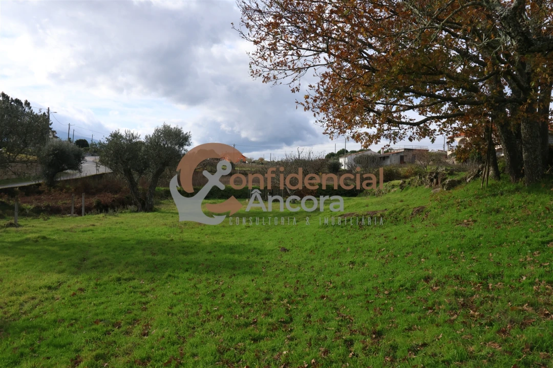 Terreno para Venda em Juncais, Vila Ruiva e Vila Soeiro do Chão Foto 22