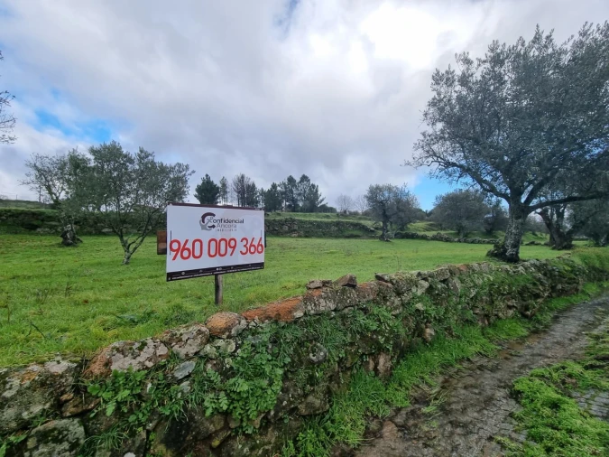 Terreno para Venda em Juncais, Vila Ruiva e Vila Soeiro do Chão Foto 28