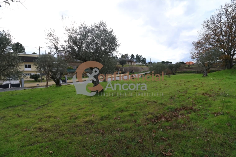 Terreno para Venda em Juncais, Vila Ruiva e Vila Soeiro do Chão Foto 19