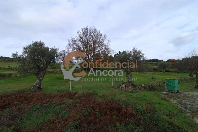 Terreno para Venda em Juncais, Vila Ruiva e Vila Soeiro do Chão Foto 26