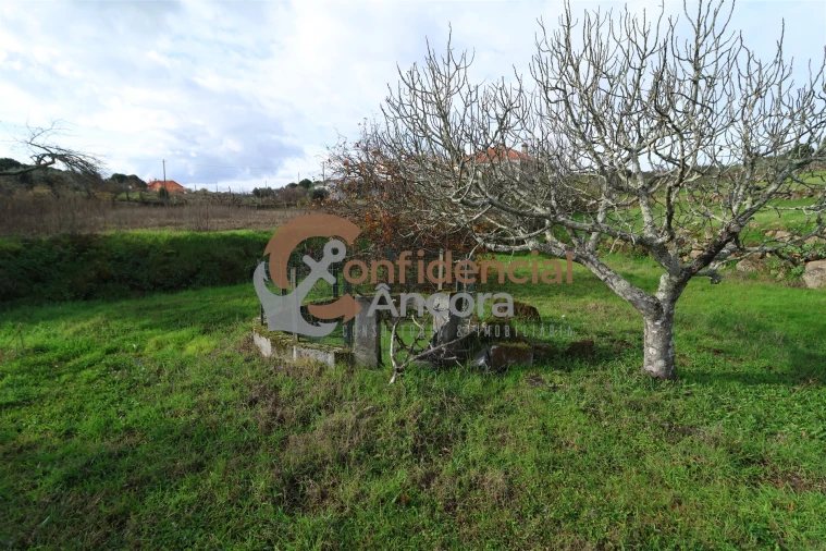 Terreno para Venda em Juncais, Vila Ruiva e Vila Soeiro do Chão Foto 15