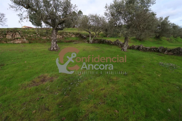 Terreno para Venda em Juncais, Vila Ruiva e Vila Soeiro do Chão Foto 18