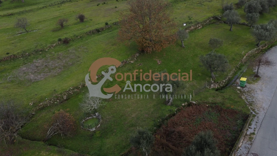 Terreno para Venda em Juncais, Vila Ruiva e Vila Soeiro do Chão Foto 10