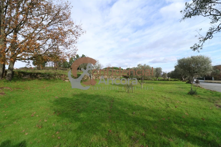 Terreno para Venda em Juncais, Vila Ruiva e Vila Soeiro do Chão Foto 16