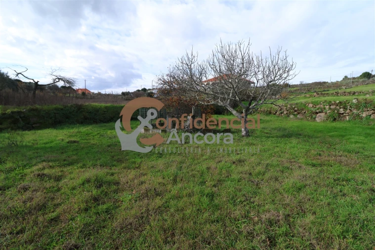 Terreno para Venda em Juncais, Vila Ruiva e Vila Soeiro do Chão Foto 14