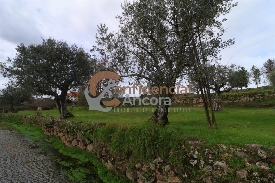 Terreno para Venda em Juncais, Vila Ruiva e Vila Soeiro do Chão Foto 24
