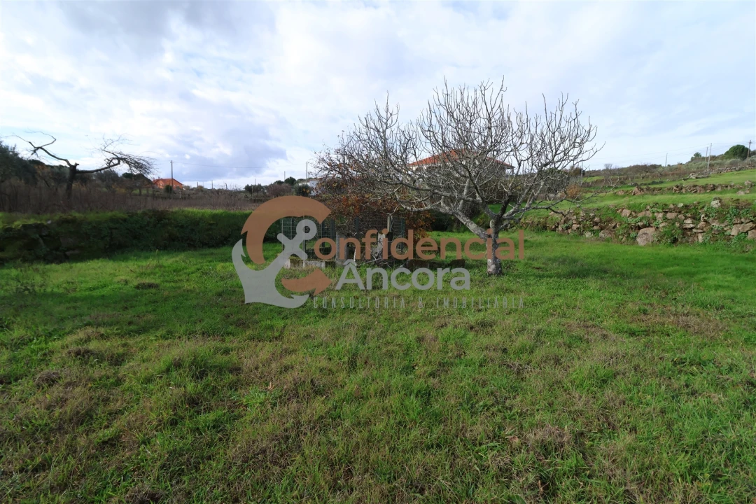 Terreno para Venda em Juncais, Vila Ruiva e Vila Soeiro do Chão Foto 14