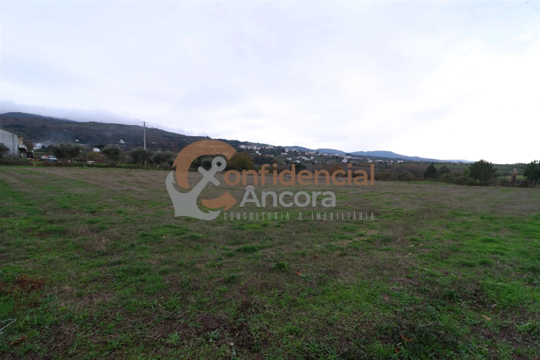 Terreno para Venda em São Paio Foto 27