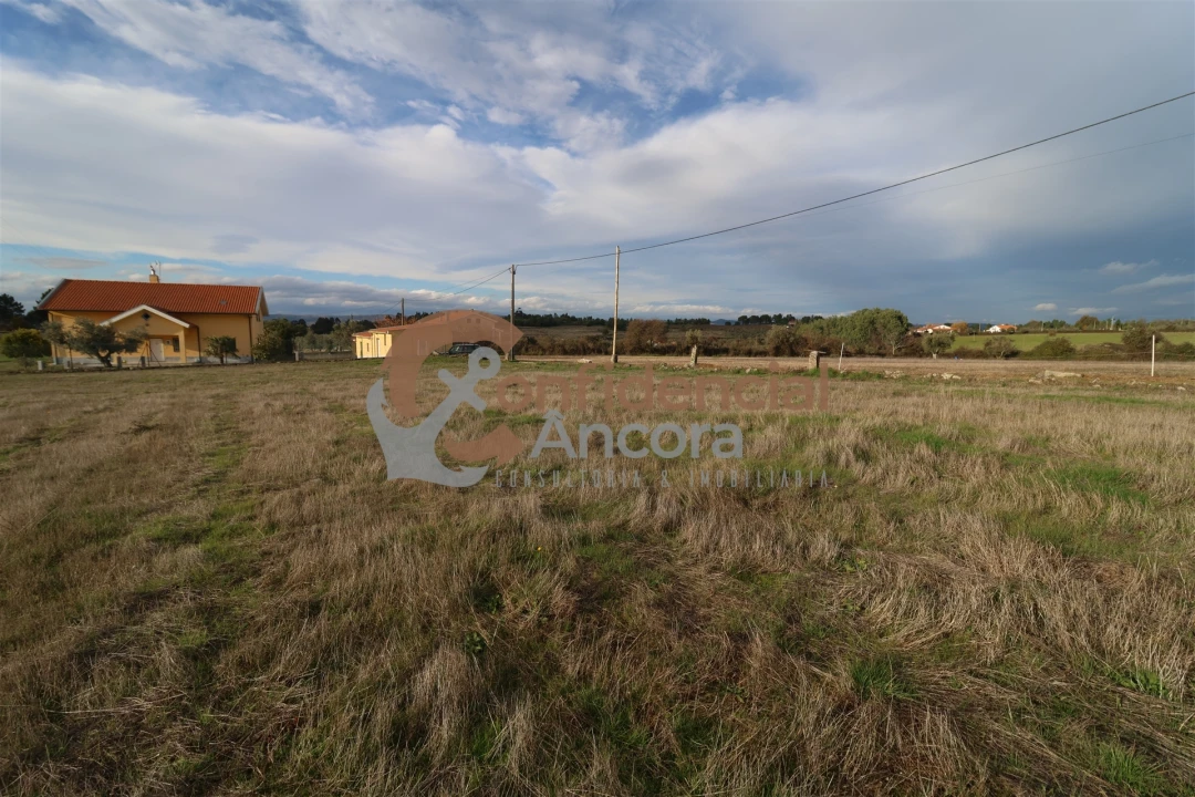 Terreno para Venda em São Paio Foto 47