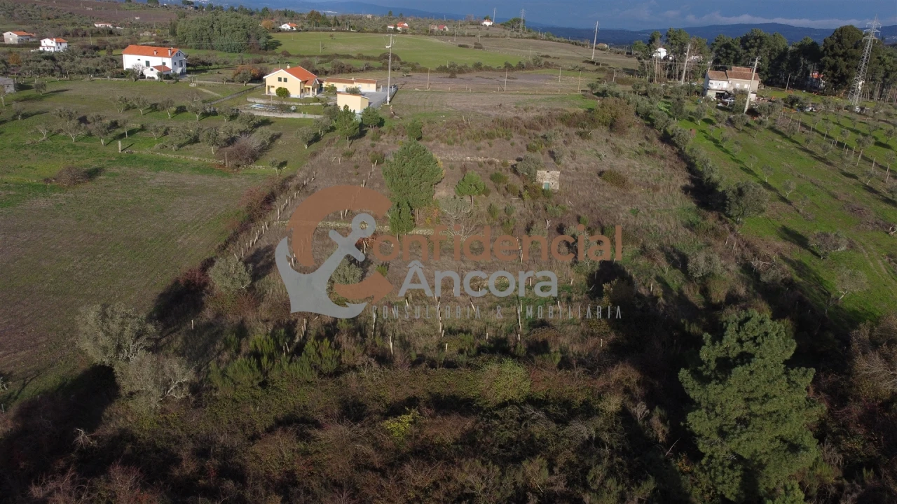 Terreno para Venda em São Paio Foto 2