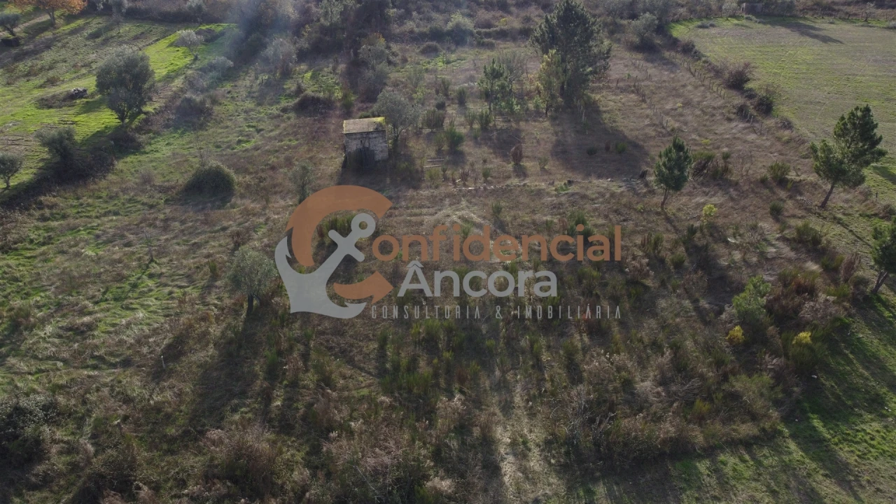 Terreno para Venda em São Paio Foto 20