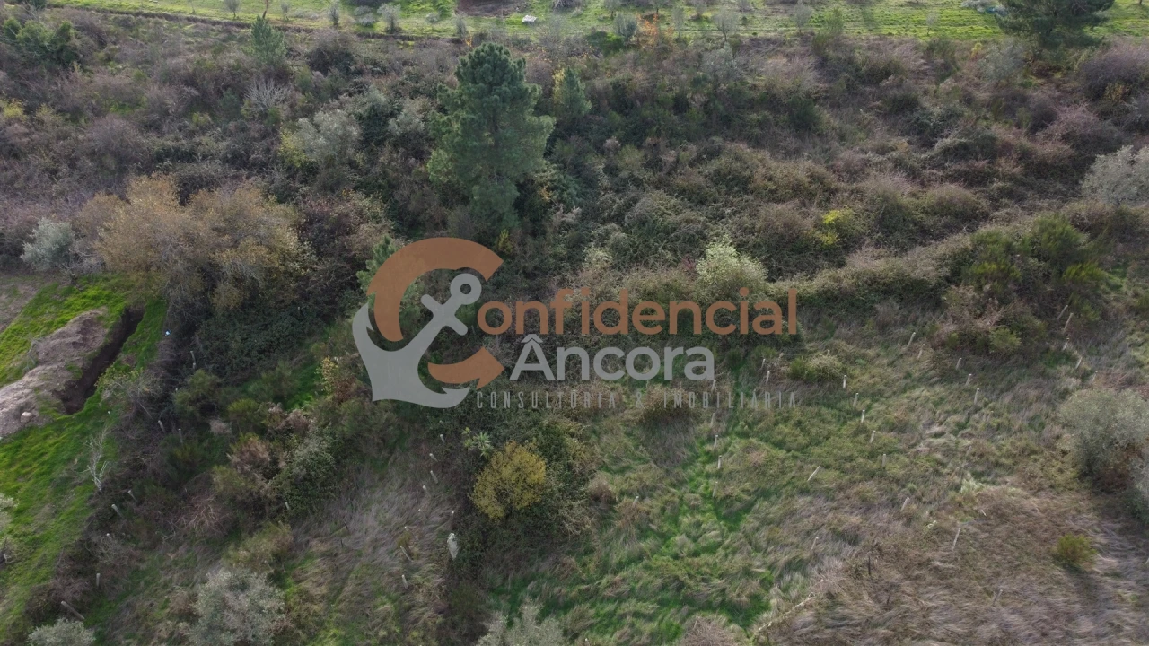 Terreno para Venda em São Paio Foto 9