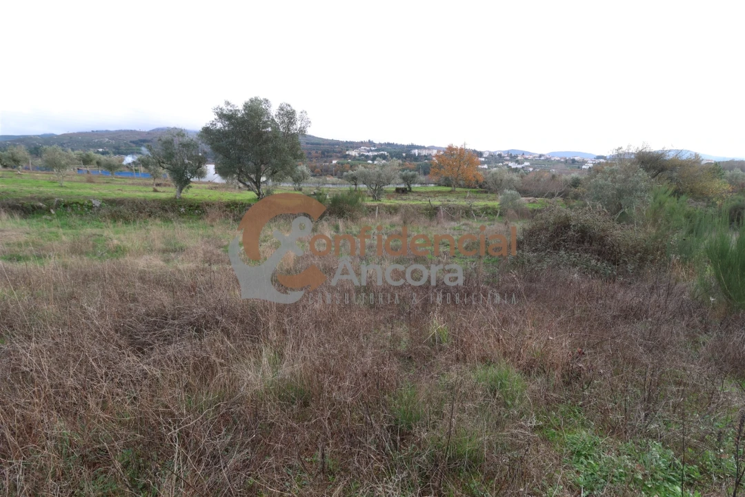 Terreno para Venda em São Paio Foto 38