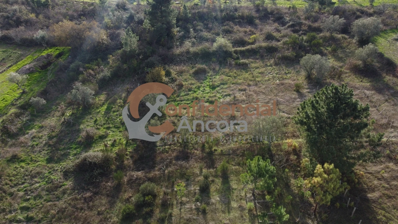 Terreno para Venda em São Paio Foto 21