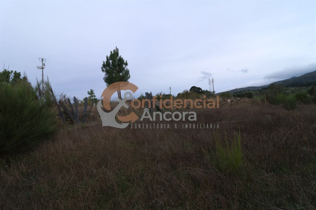 Terreno para Venda em São Paio Foto 33