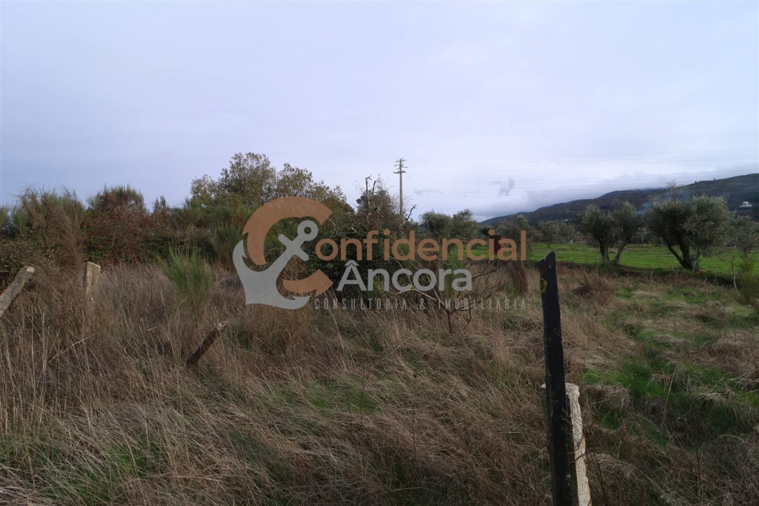 Terreno para Venda em São Paio Foto 44