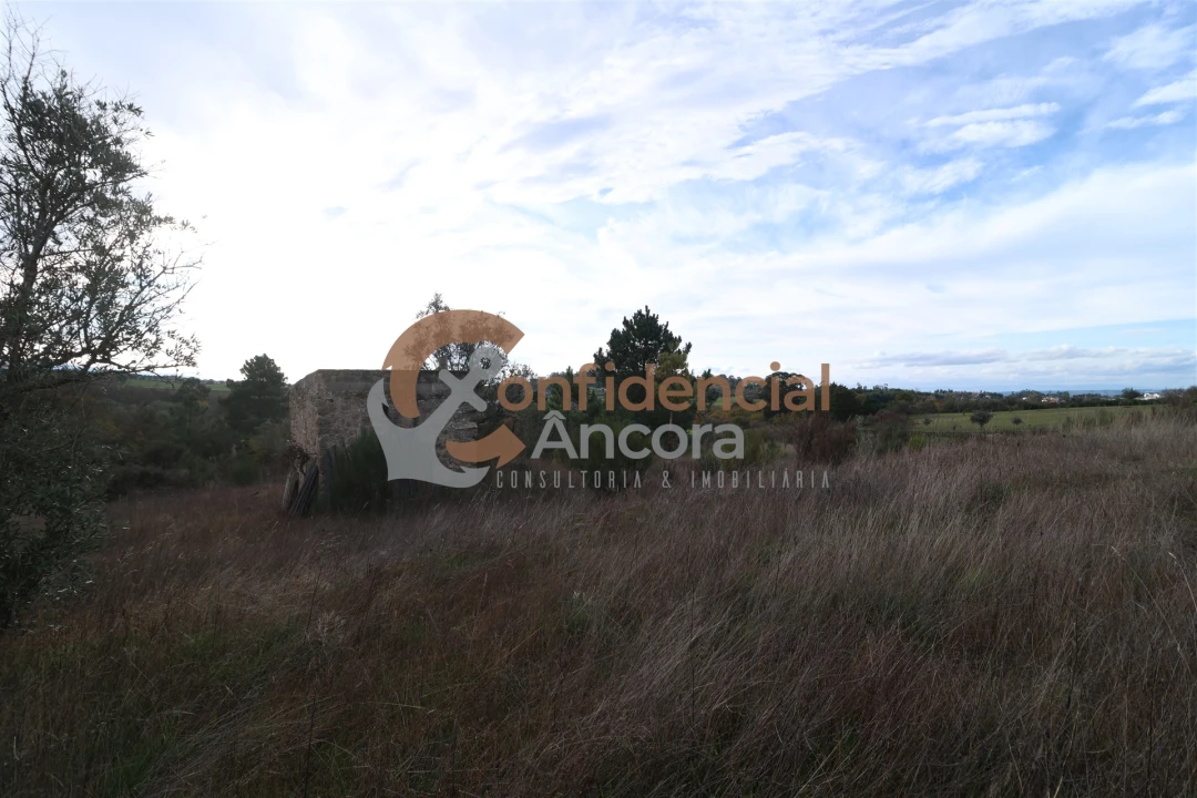 Terreno para Venda em São Paio Foto 43