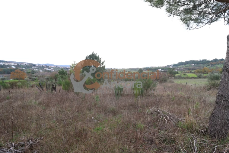 Terreno para Venda em São Paio Foto 30