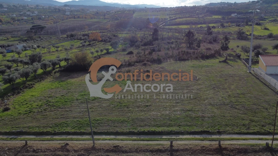 Terreno para Venda em São Paio Foto 18