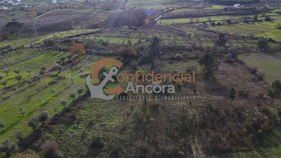 Terreno para Venda em São Paio Foto 5