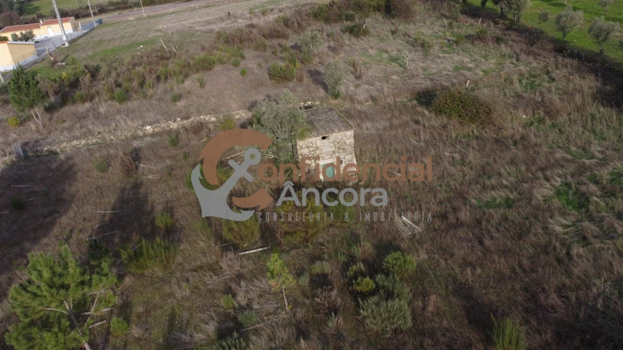 Terreno para Venda em São Paio Foto 12