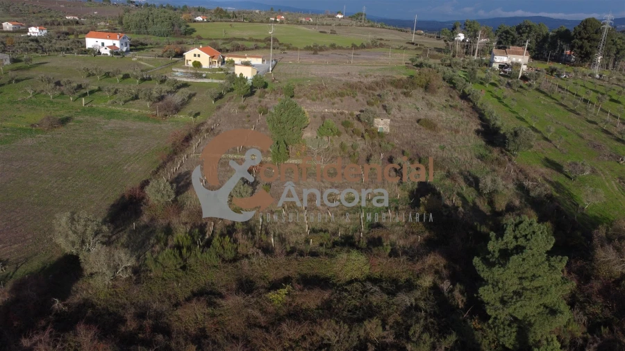 Terreno para Venda em São Paio Foto 2