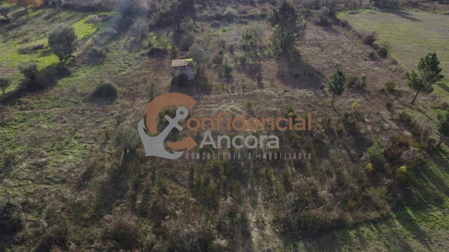 Terreno para Venda em São Paio Foto 20