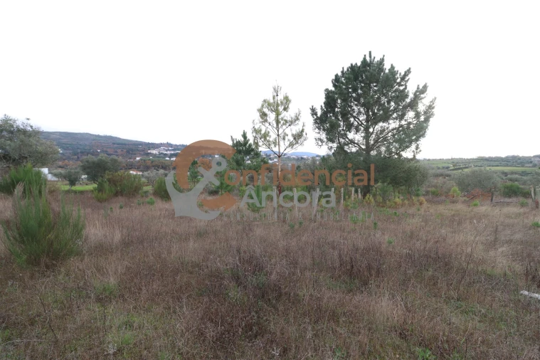 Terreno para Venda em São Paio Foto 32