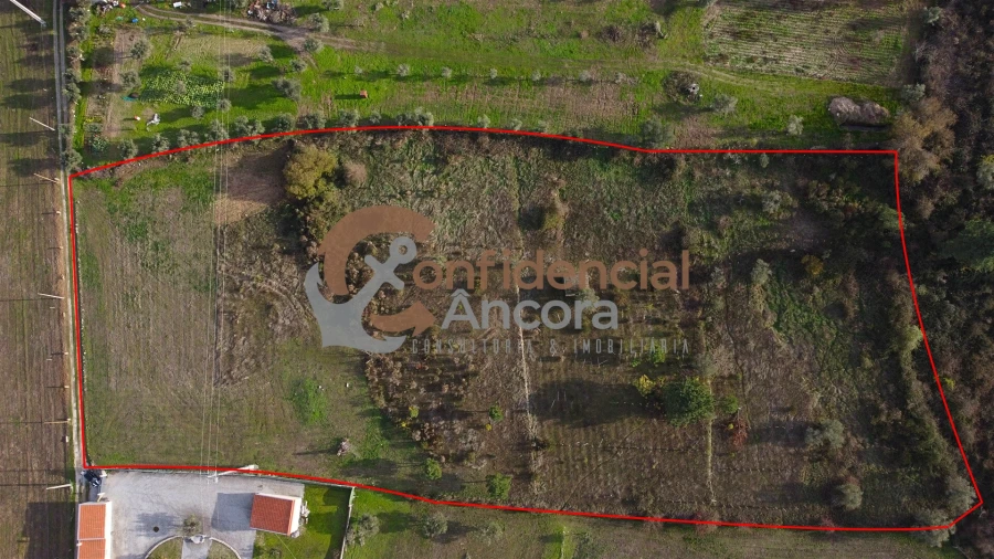 Terreno para Venda em São Paio Foto 15