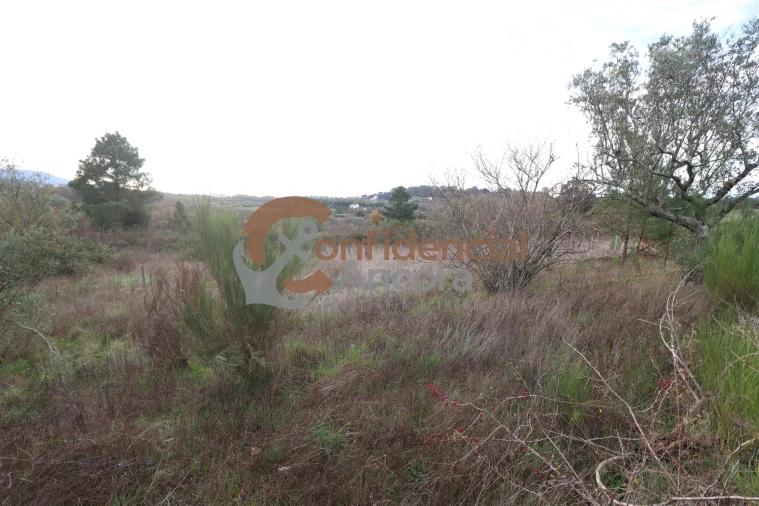 Terreno para Venda em São Paio Foto 36