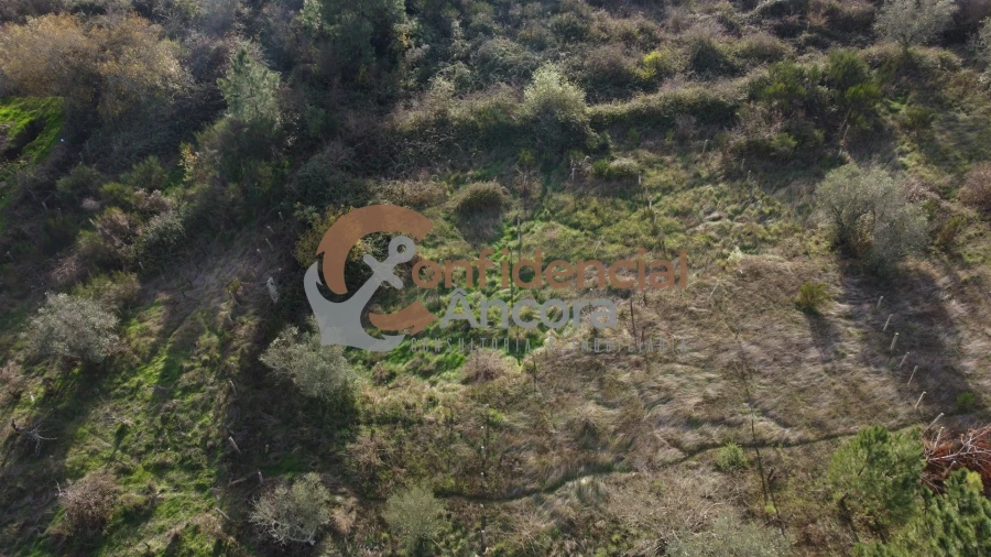 Terreno para Venda em São Paio Foto 22