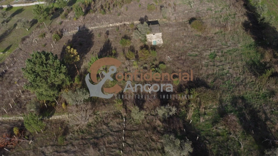 Terreno para Venda em São Paio Foto 23