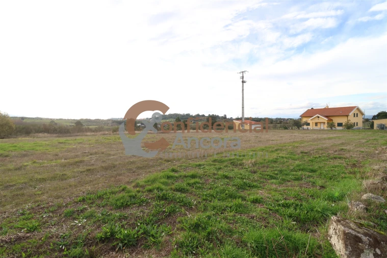 Terreno para Venda em São Paio Foto 49