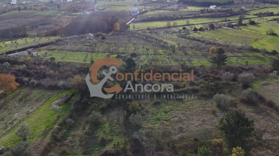 Terreno para Venda em São Paio Foto 8