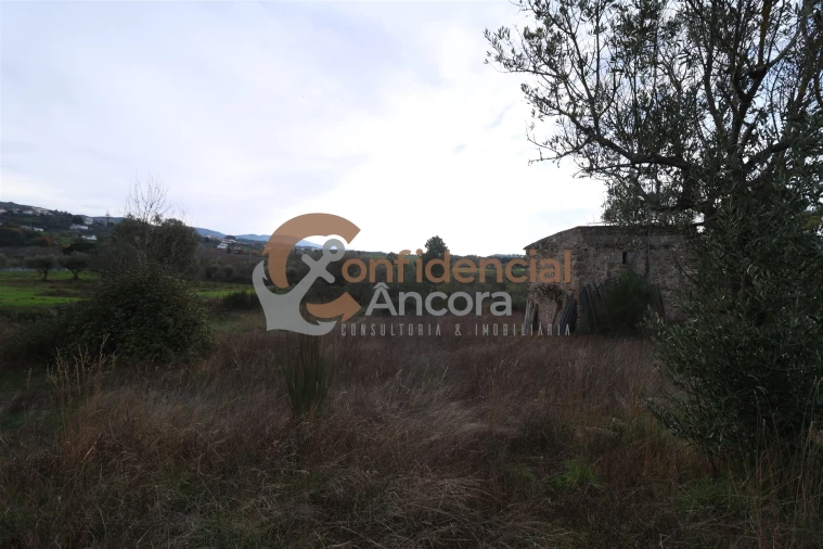 Terreno para Venda em São Paio Foto 42