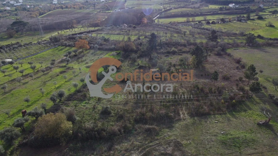 Terreno para Venda em São Paio Foto 4