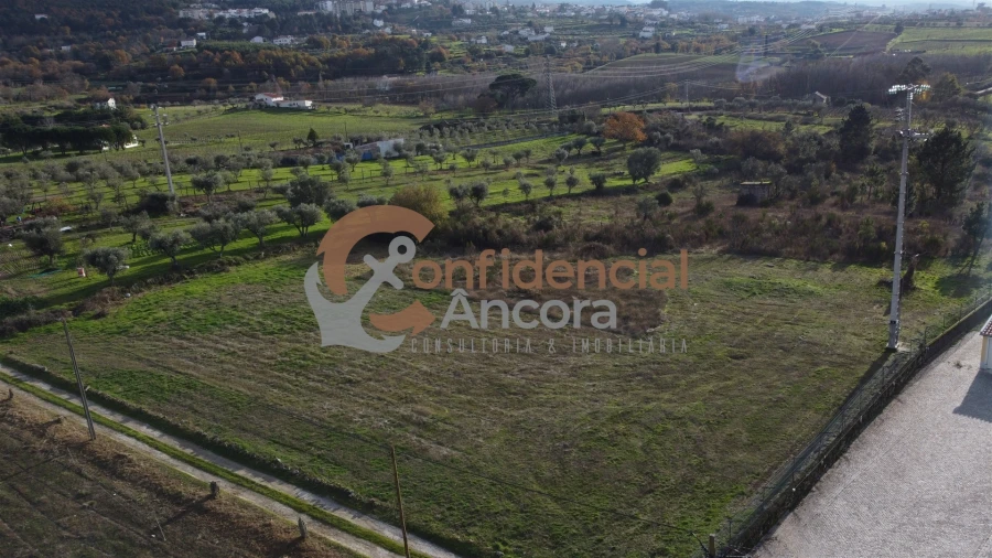 Terreno para Venda em São Paio Foto 1